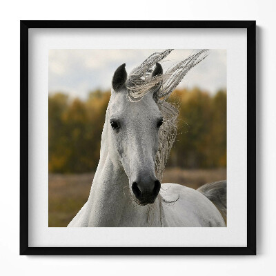 Tablou living cu rama unic Un cal alb galopând