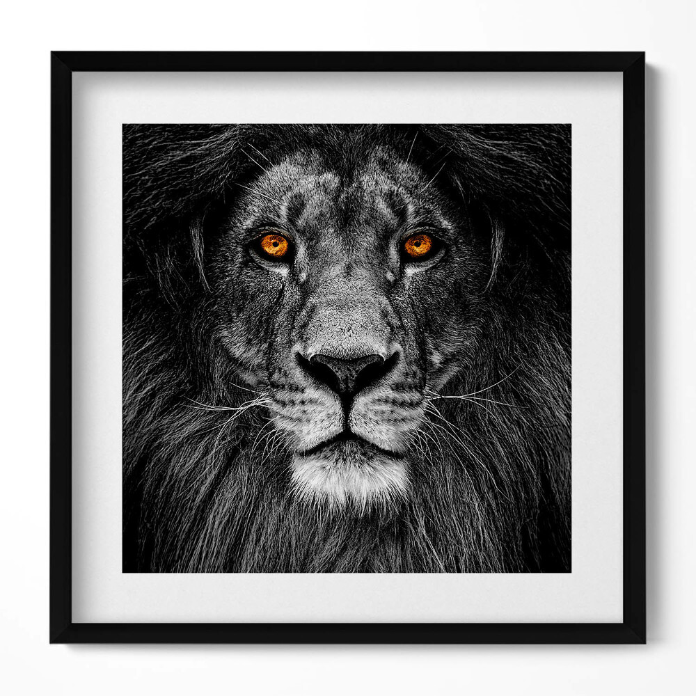 Tablou living cu rama unic Cap de leu alb-negru