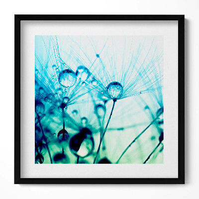 Tablou rama unic Picături de rouă pe păpădii