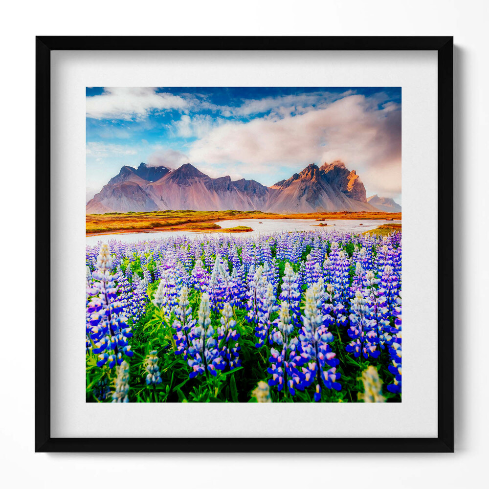 Tablou rama unic Flori magice de lupin