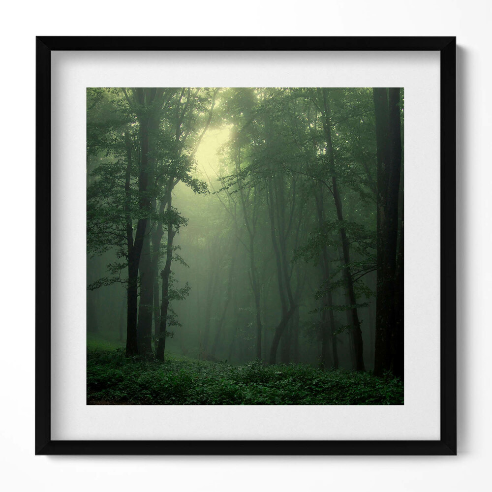 Tablou living cu rama unic Pădurea încețoșată dimineața
