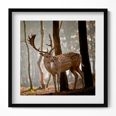 Tablou living cu rama unic Cerbi în strălucirea soarelui care răsare