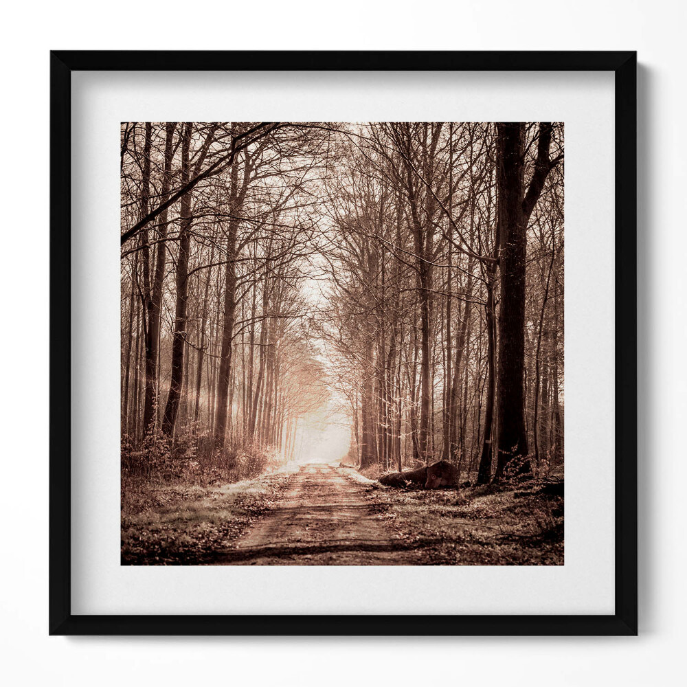 Tablou living cu rama unic Cale de pădure în tonuri sepia