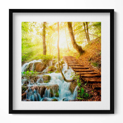 Tablou living cu rama unic Pârâu și scări în pădure