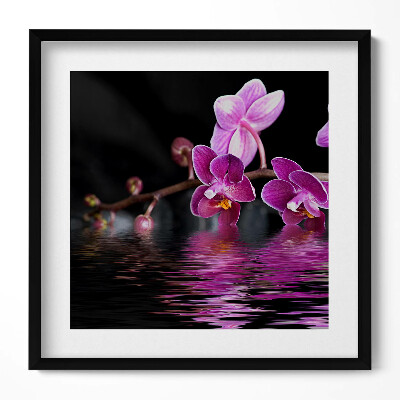 Tablou rama unic Orhidee roz pe apă