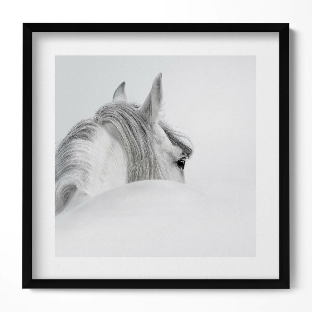 Tablou rama unic Cal andaluz în ceață