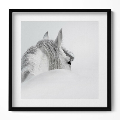 Tablou rama unic Cal andaluz în ceață