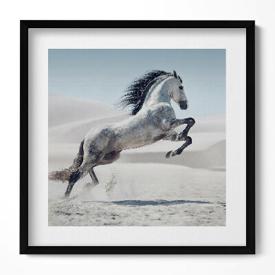 Tablou living cu rama unic Cal alb galopant