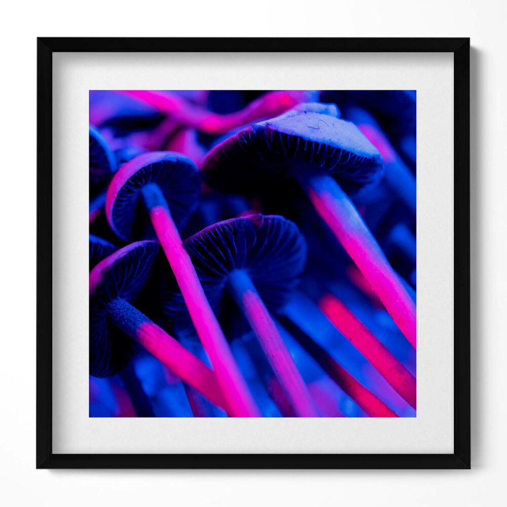 Tablou rama unic Ciuperci magice colorate