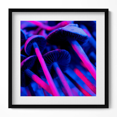 Tablou rama unic Ciuperci magice colorate