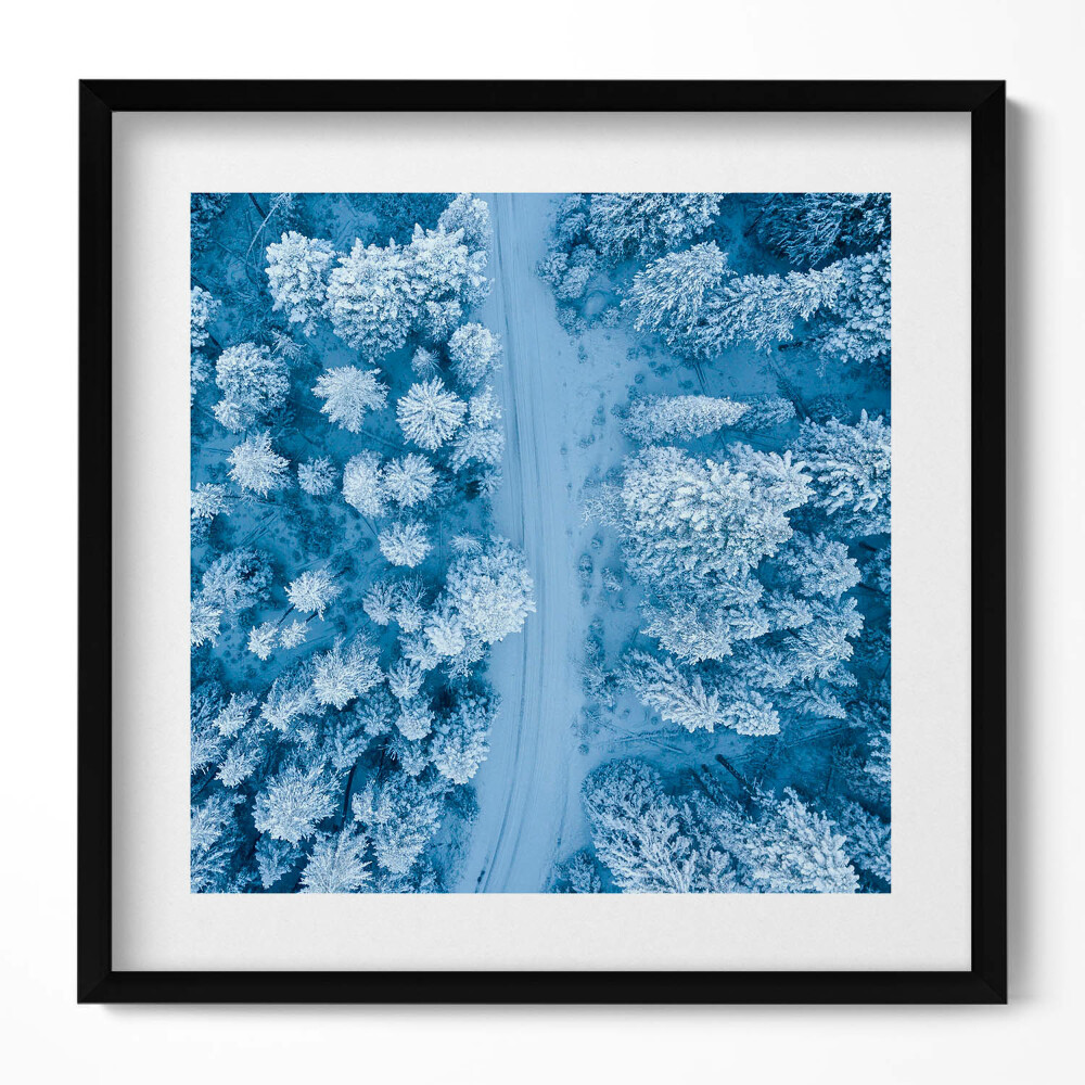 Tablou rama unic Pădurea din vedere dinspre o pasăre, cu dronă