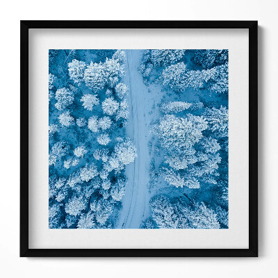 Tablou rama unic Pădurea din vedere dinspre o pasăre, cu dronă