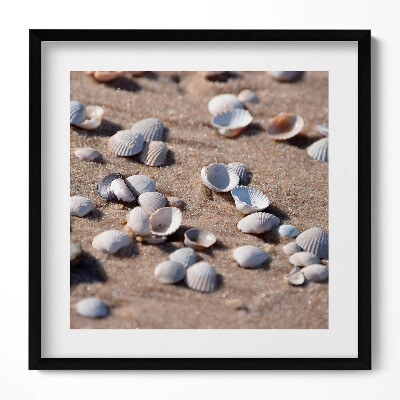 Tablou rama unic Scoici pe plajă