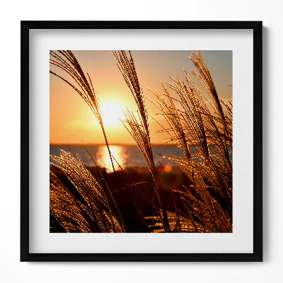 Tablou rama unic Grâul în ora de aur