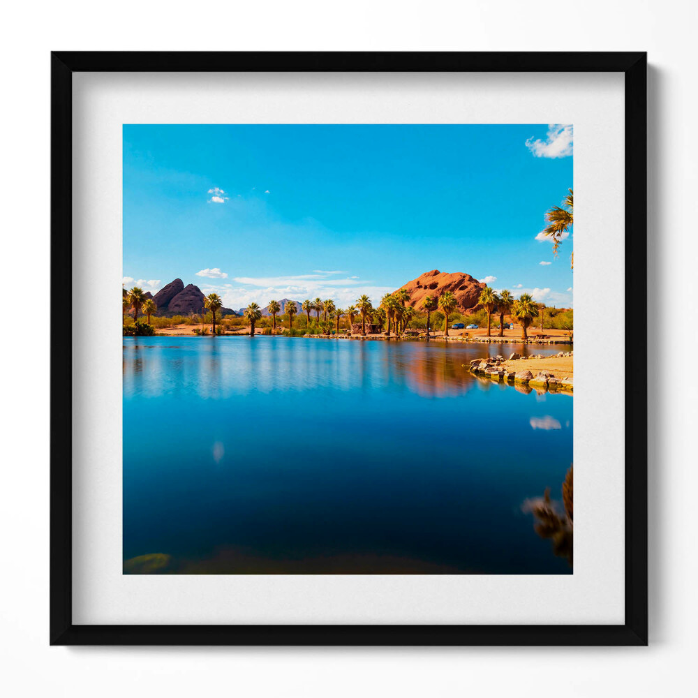 Tablou living cu rama unic Peisajul parcului Papago