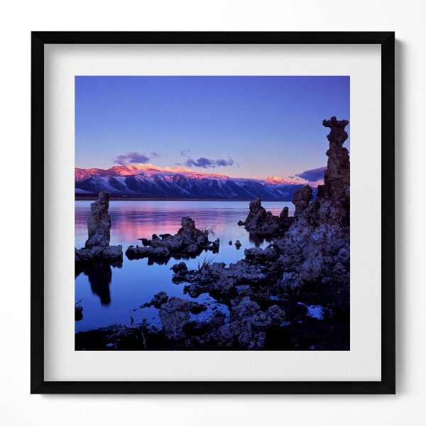 Tablou rama unic Lacul Mono, California, SUA