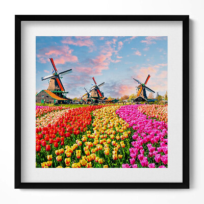Tablou living cu rama unic Peisaj cu lalele Olanda