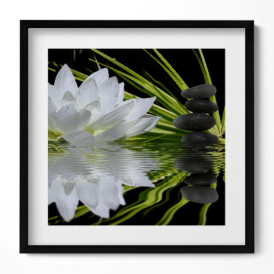 Tablou living cu rama unic Nufăr și frunze