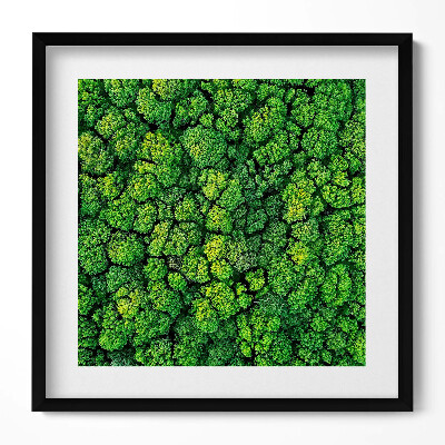 Tablou rama unic Pădurea din vedere