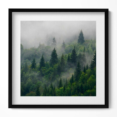 Tablou rama unic Peisaj de pădure în ceață