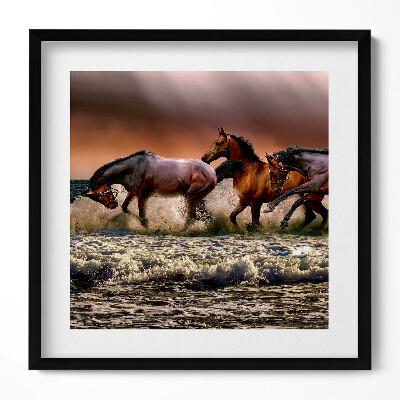 Tablou living cu rama unic Cai galopând prin apă