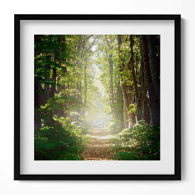 Tablou living cu rama unic Drum forestier printre copaci