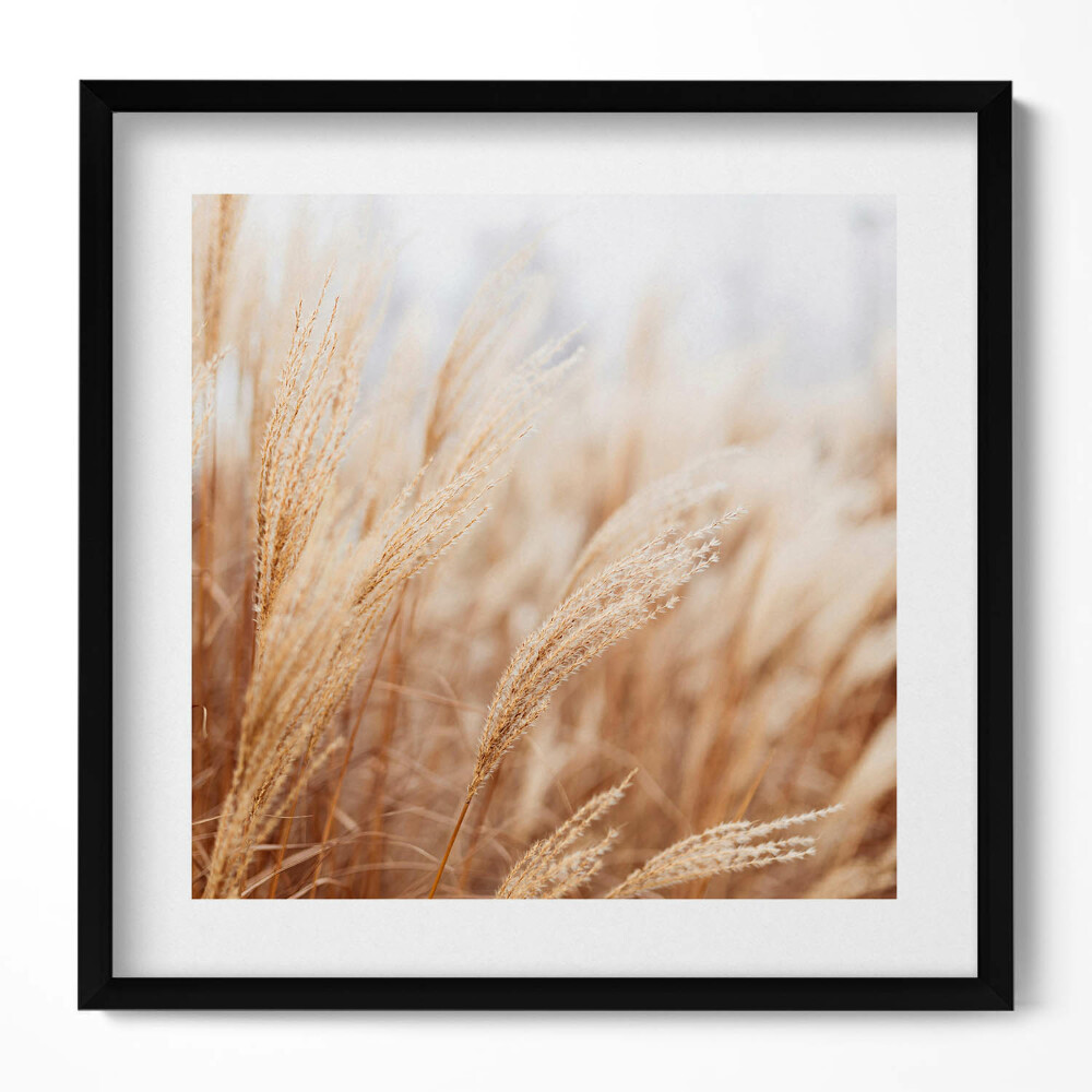 Tablou rama unic Cereale cu iarbă boho Nature