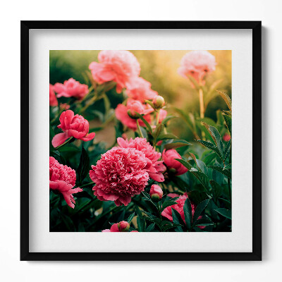 Tablou living cu rama unic Flori roz în pajiște