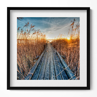 Tablou living cu rama unic Un drum de lemn printre copaci