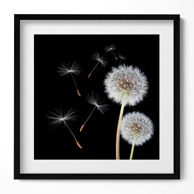 Tablou rama unic Două păpădii