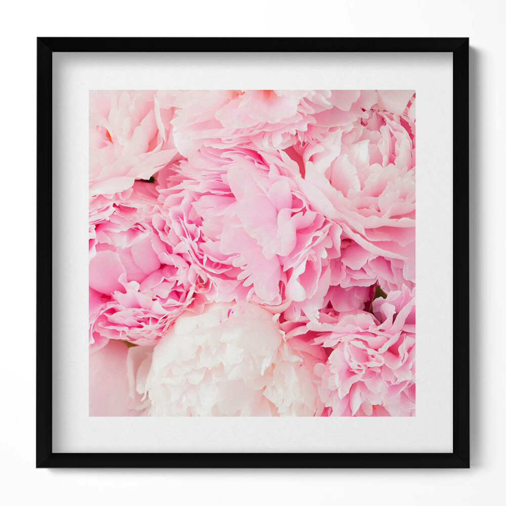 Tablou living cu rama unic Bujori cu flori delicate