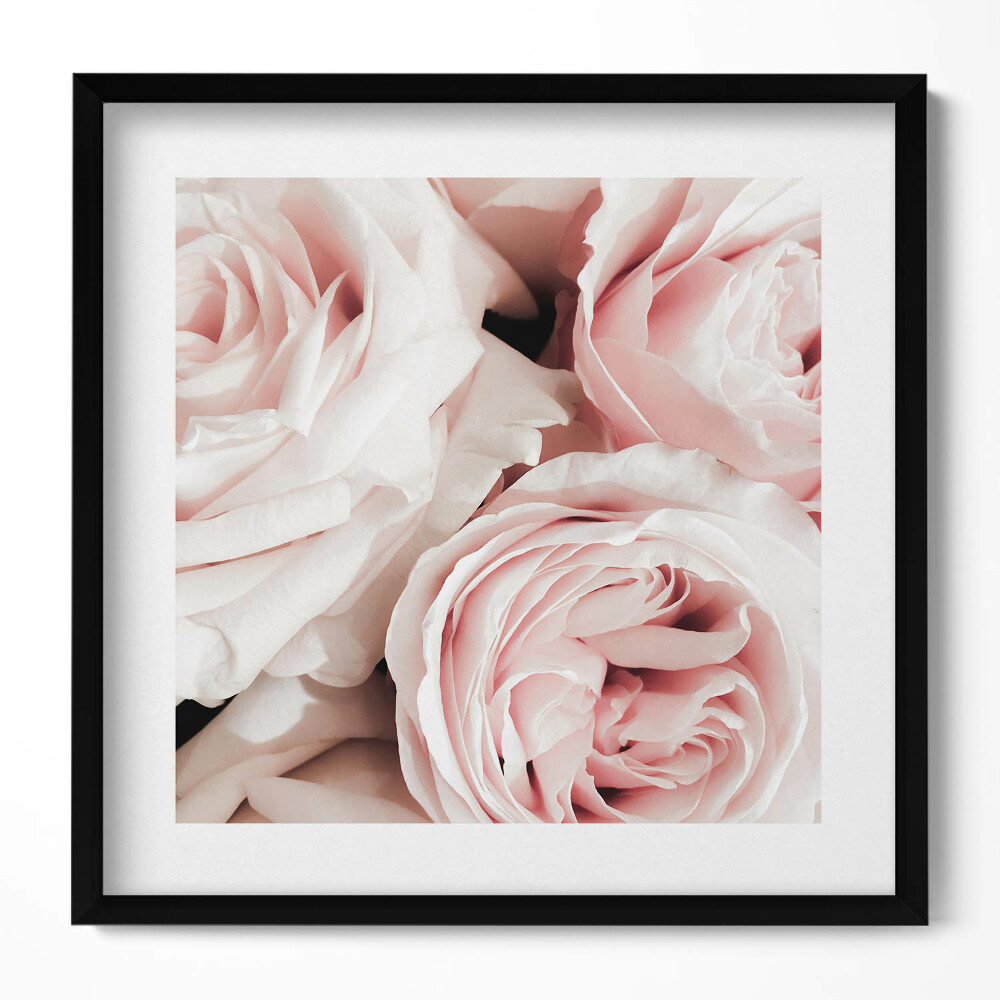 Tablou living cu rama unic Flori roz pal trandafiri delicati