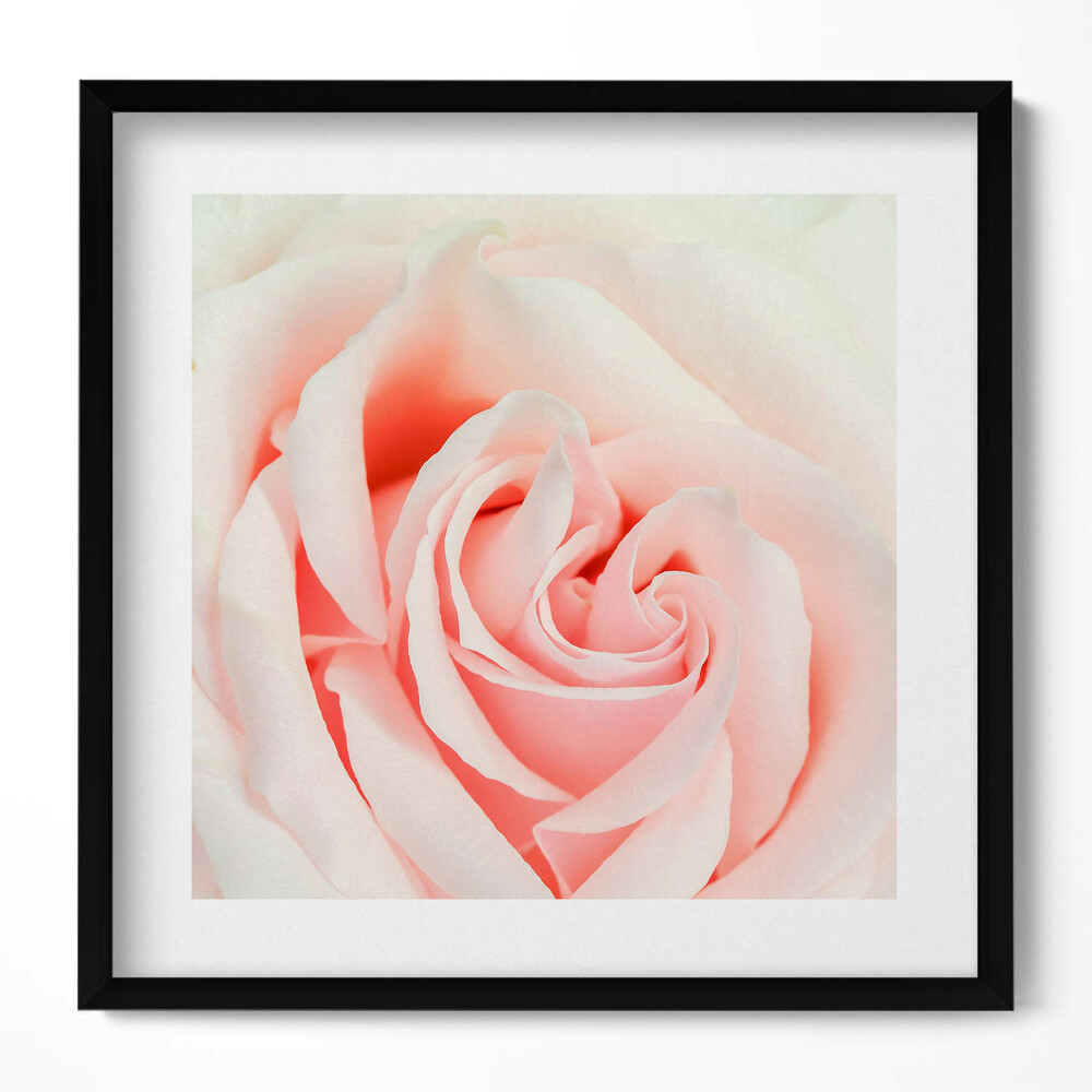 Tablou living cu rama unic Prim-plan al petalelor de trandafir