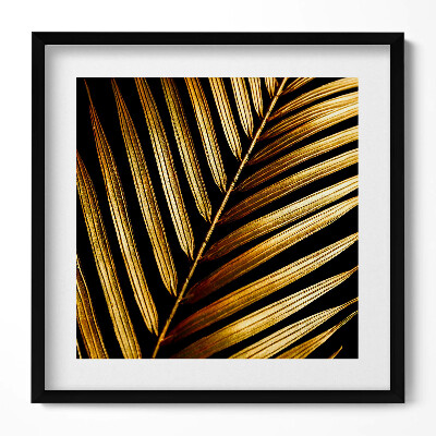 Tablou rama unic Frunză în strălucire aurie