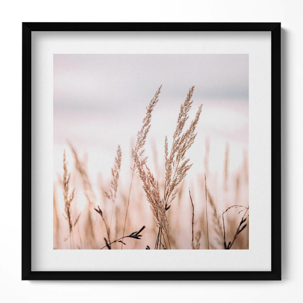 Tablou living cu rama unic Peisaj romantic boho cu ierburi delicate