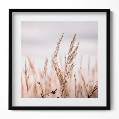 Tablou living cu rama unic Peisaj romantic boho cu ierburi delicate