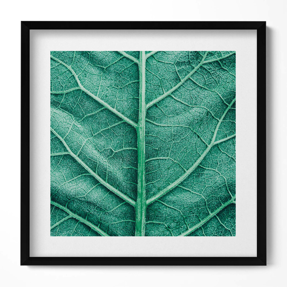Tablou rama unic Prim-plan al nervurilor frunzelor