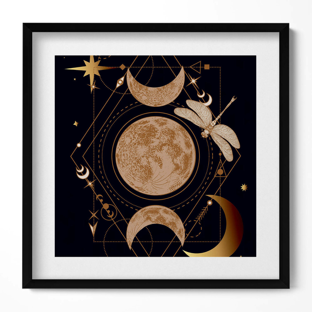 Tablou rama unic O compoziție magică de spațiu și libelulă