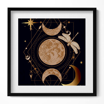 Tablou rama unic O compoziție magică de spațiu și libelulă