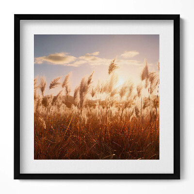 Tablou living cu rama unic Apus de soare romantic peste iarbă