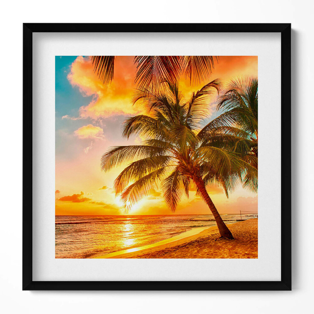 Tablou rama unic Palmier pe plajă la apus