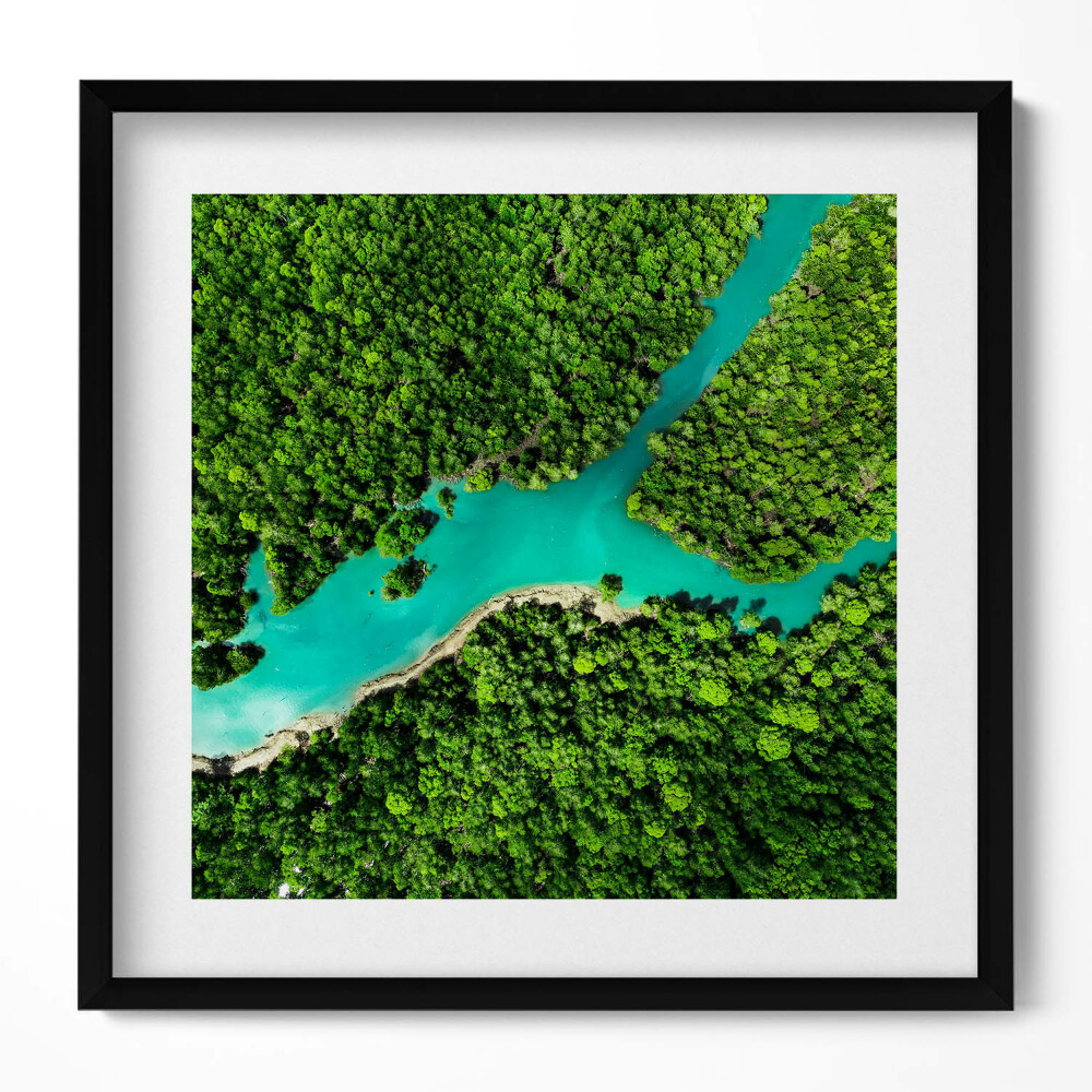 Tablou living cu rama unic Vedere aeriană a unui râu în pădurile tropicale