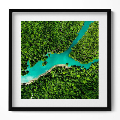 Tablou living cu rama unic Vedere aeriană a unui râu în pădurile tropicale