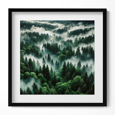 Tablou rama unic Peisaj de ceață de dimineață în pădure