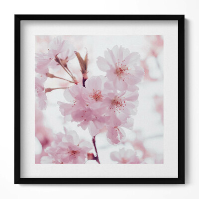 Tablou rama unic Flori delicate de culoare roz pal