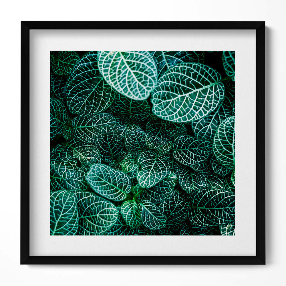 Tablou living cu rama unic Frunze verzi sălbatice