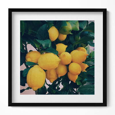 Tablou rama unic Lămâi galbene coapte