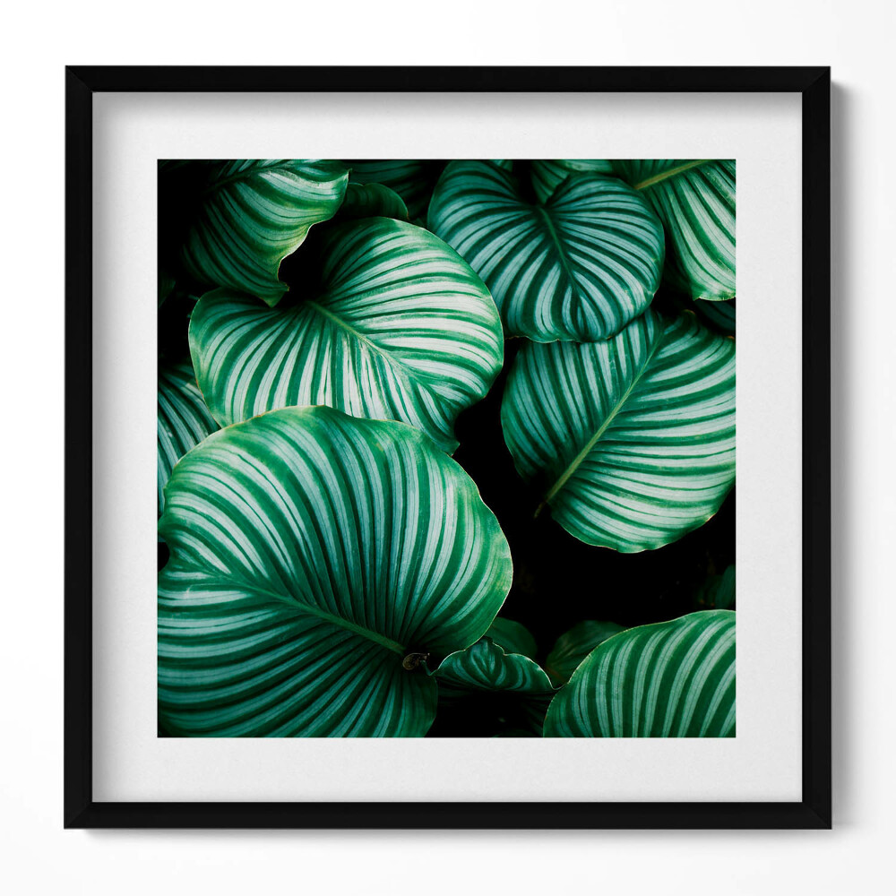 Tablou rama unic Frunze mari și verzi