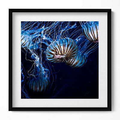 Tablou living cu rama unic Meduze albastre în apă