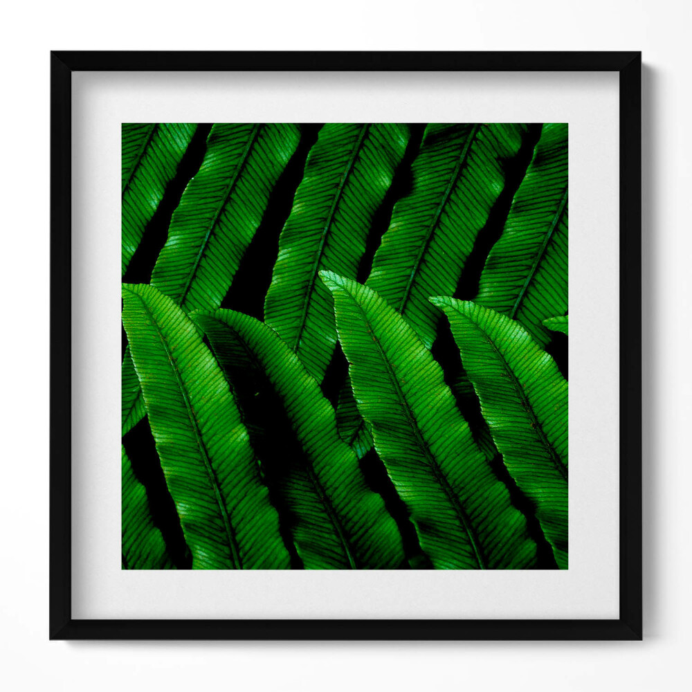 Tablou rama unic Frunze verzi de aproape